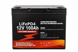 Акумулятор літій lifepo4 12v 100ah для автономних систем живлення 2904181501 фото