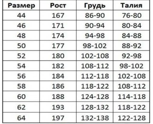 Захисні робочі штани CLASSIC 100 SLIM чоловічі Польша 340 фото